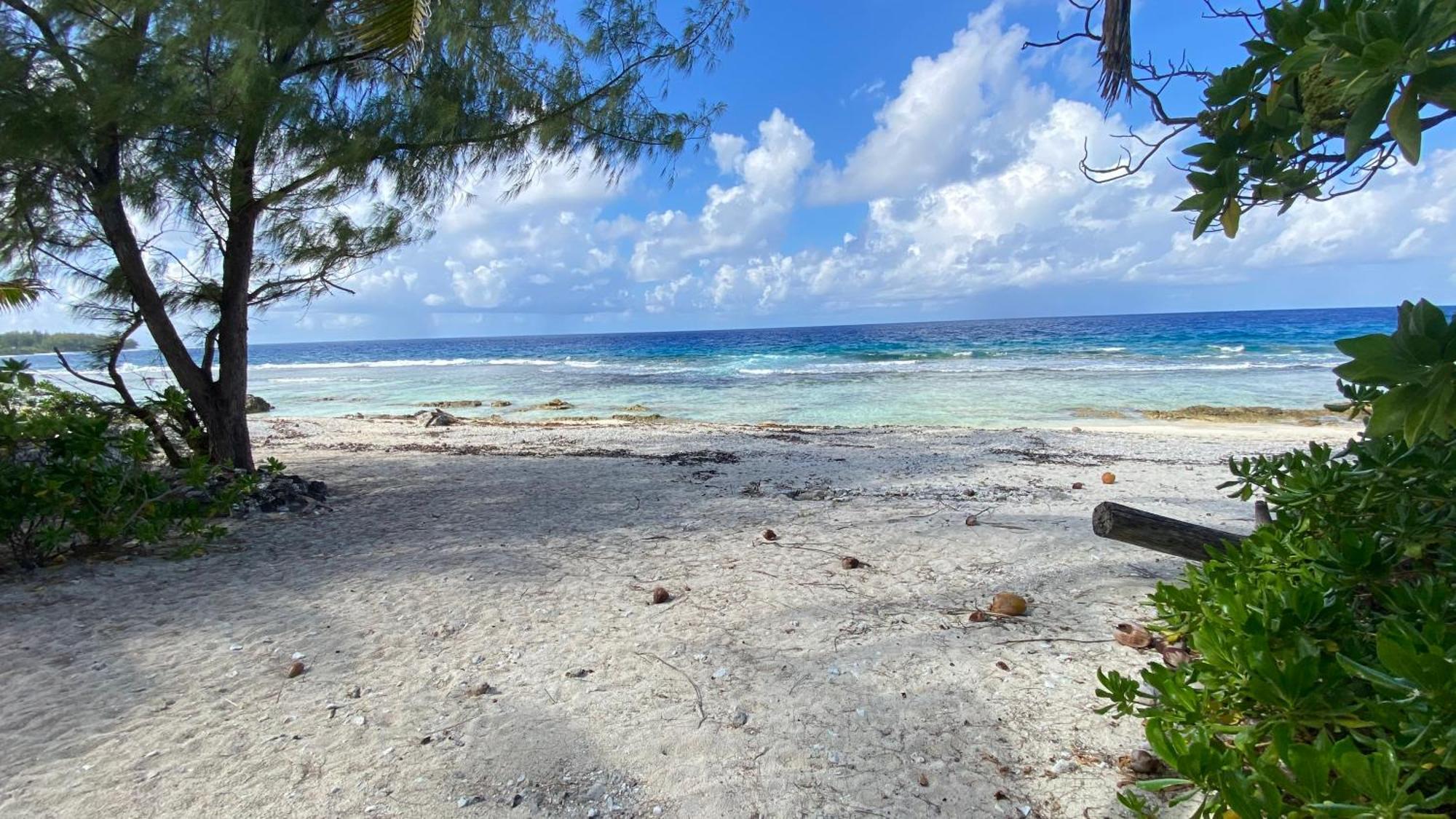 Moorea Chill And Beach Lodge Teavaro Ngoại thất bức ảnh